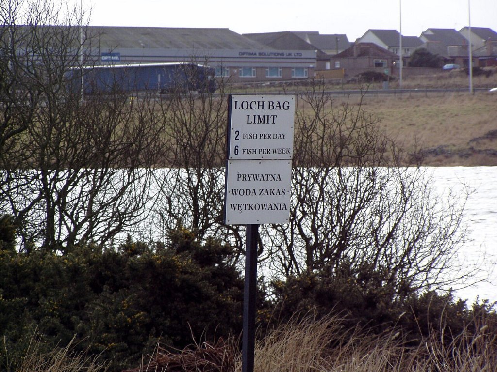 🇮🇴WilliamTheBonqueror tweet media