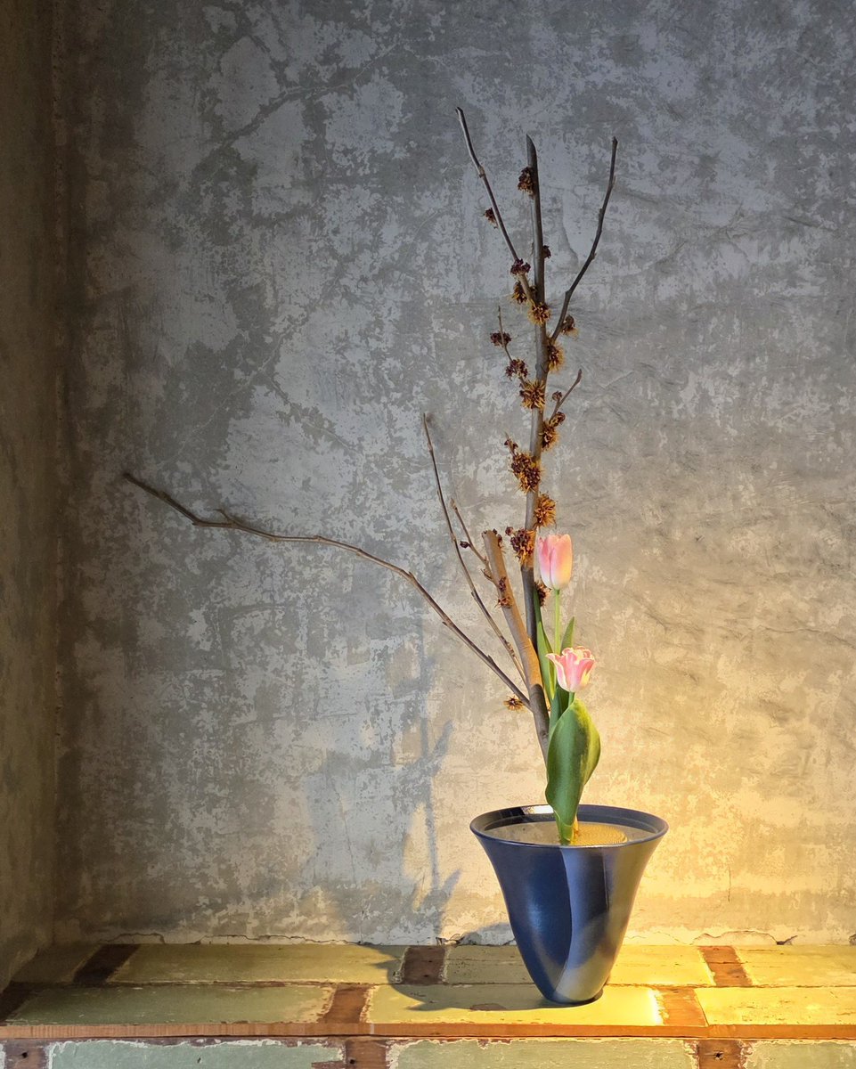 mi3_tu2's tweet photo. 気づけば3月…

私は生きてます…

お花も続いてます…

とりあえず、今は生きるのに必死です🫠笑 https://t.co/7A1A35zWaq