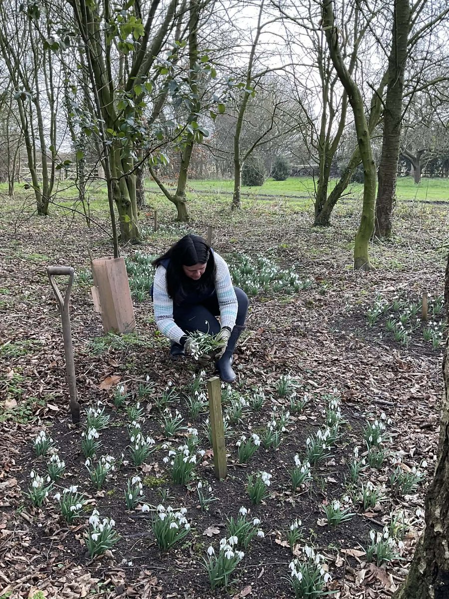 Kate Elliott tweet media