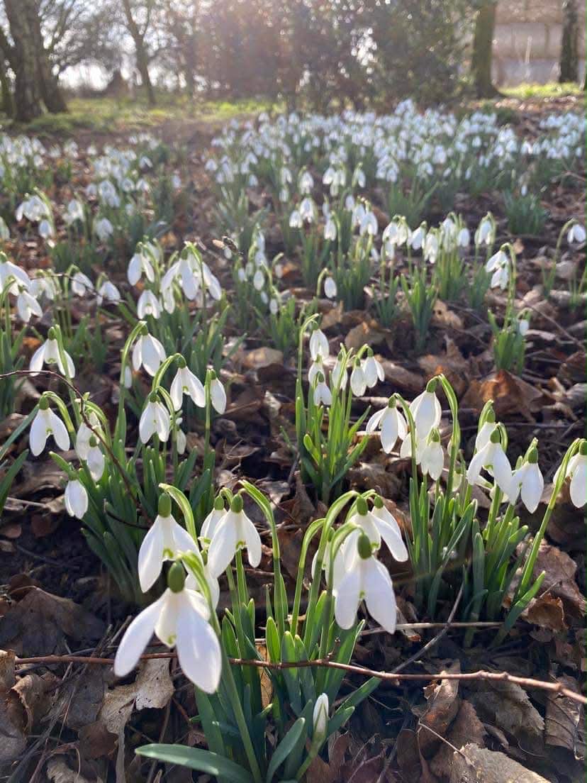 Kate Elliott tweet media