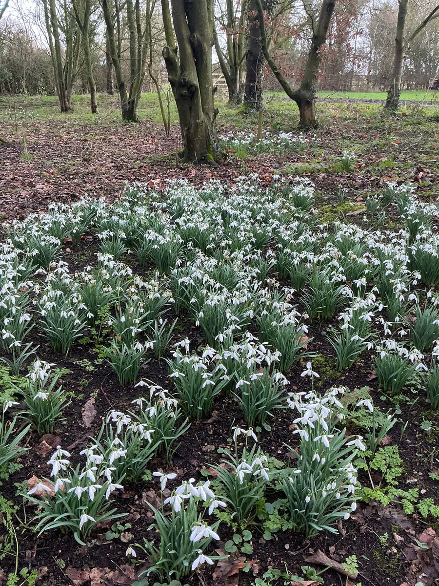 Kate Elliott tweet media