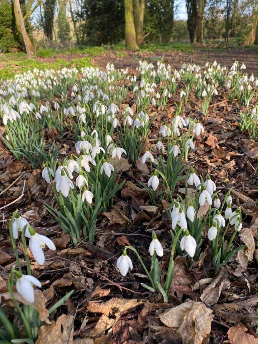 Kate Elliott tweet media