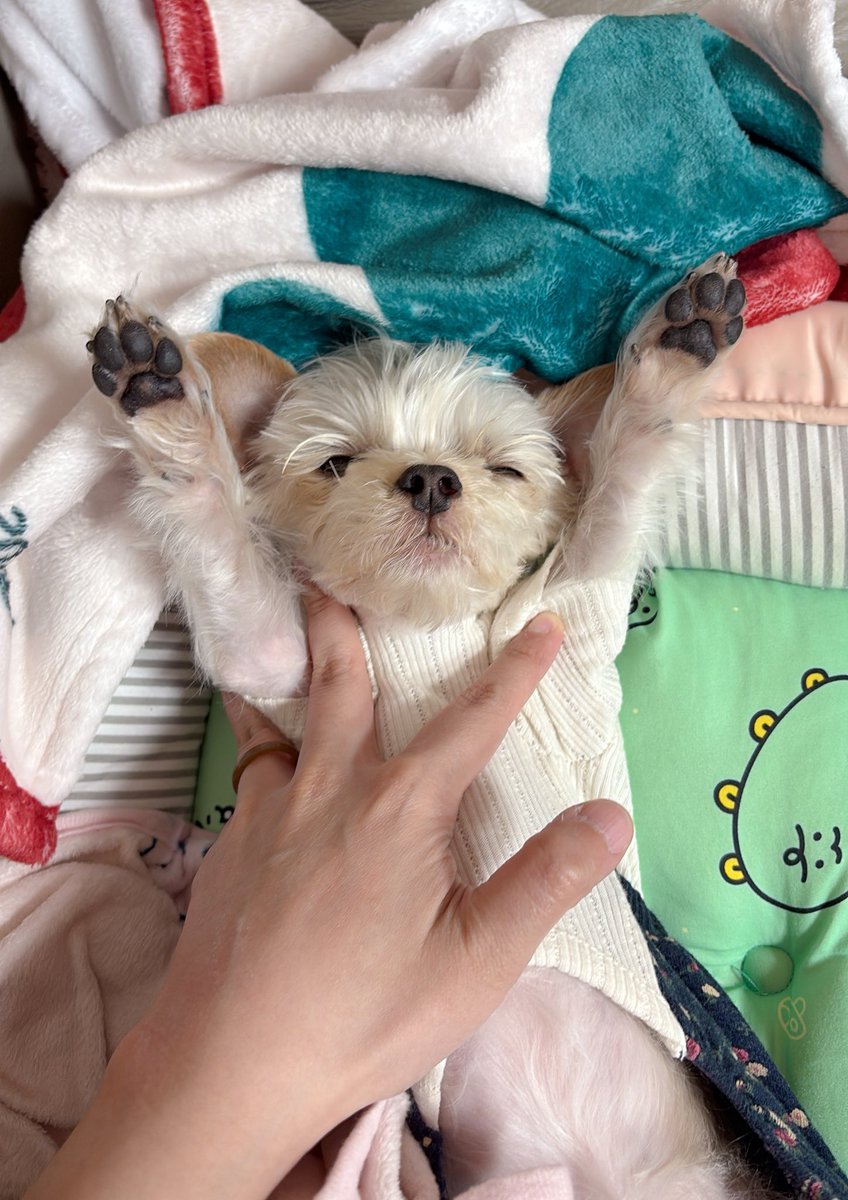 기지개를 쭉~~~~~~