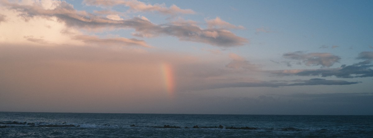 Use More Paper tweet media