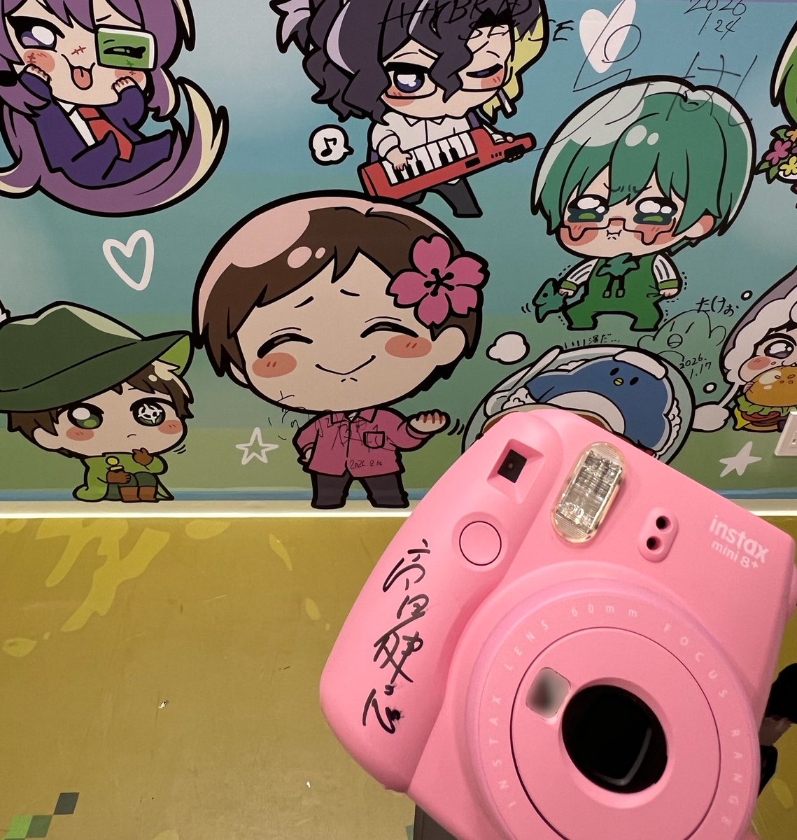 かめまる🌸 (@c_m_sugar) / Posts / X