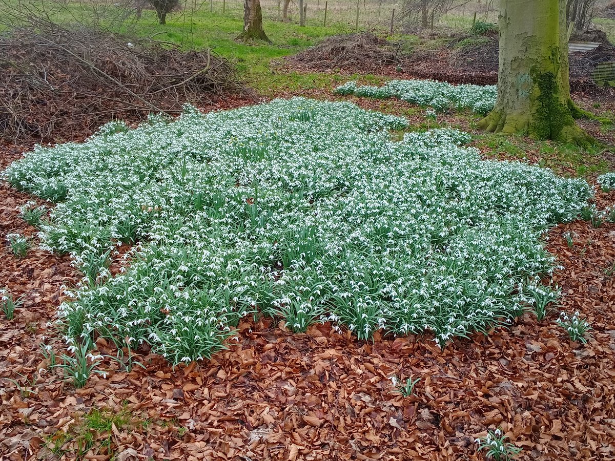 Andy Rawson tweet media