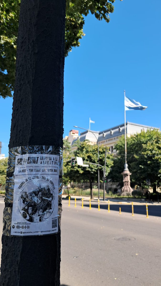 ONE OR EIGHT ARGENTINA 🇦🇷 tweet media