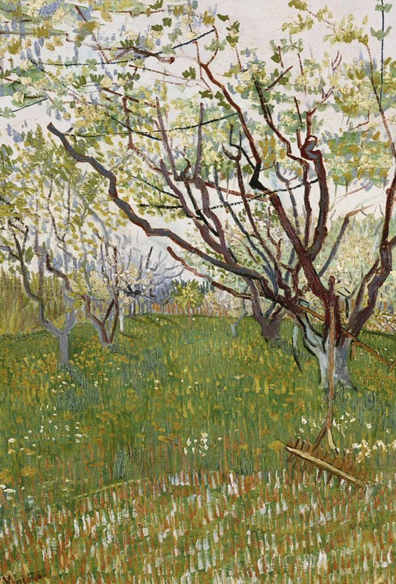 Beneath a cloudless sky, lark-song glass-bright in the fields, Old Fox and Pine Marten were picking the first daffodils, from the long garden lawn which sloped down to the river. It was an early March day of such sweet beauty that their flagging spirits were lifted &amp; their hearts