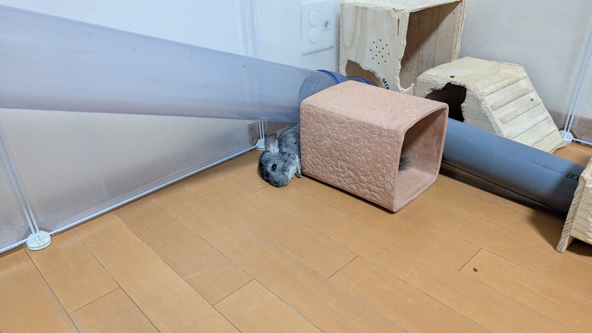 はなげさん tweet media