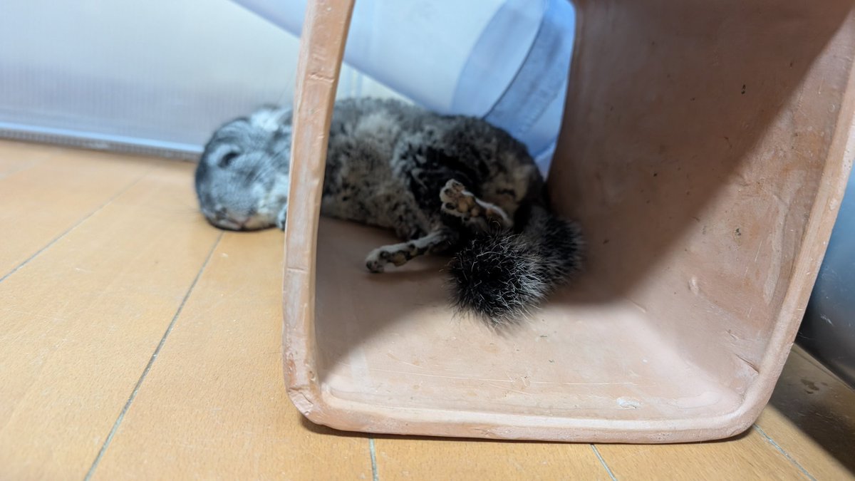 はなげさん tweet media