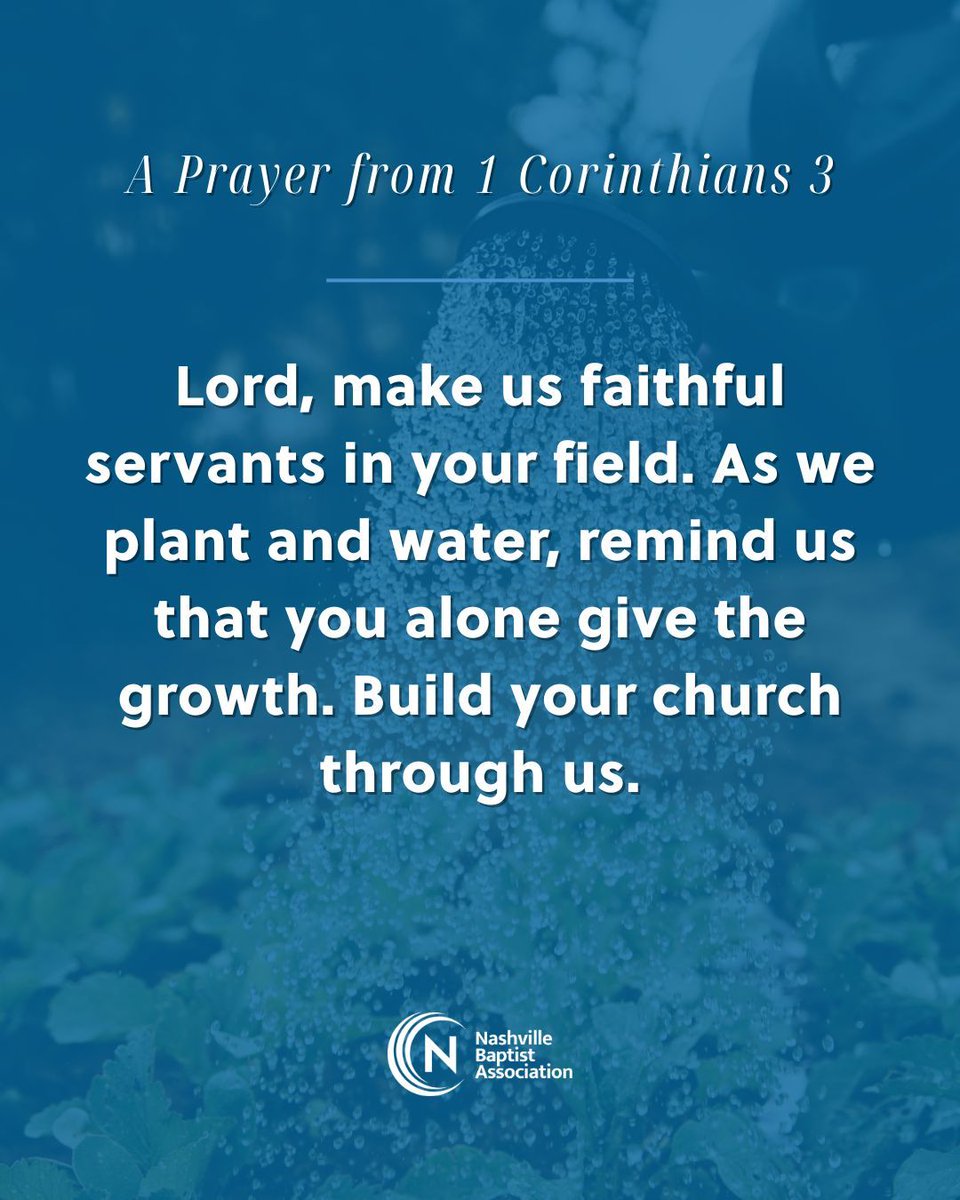 Nashville Baptist Association tweet media