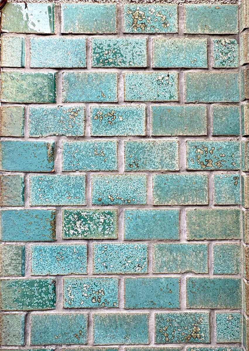 mayumama tweet media