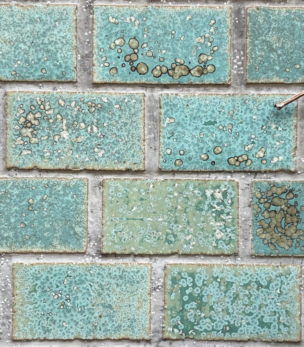 mayumama tweet media