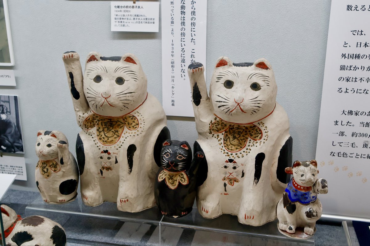 大佛次郎記念館（おさらぎじろうきねんかん）【公式】 (@ojmm_tw