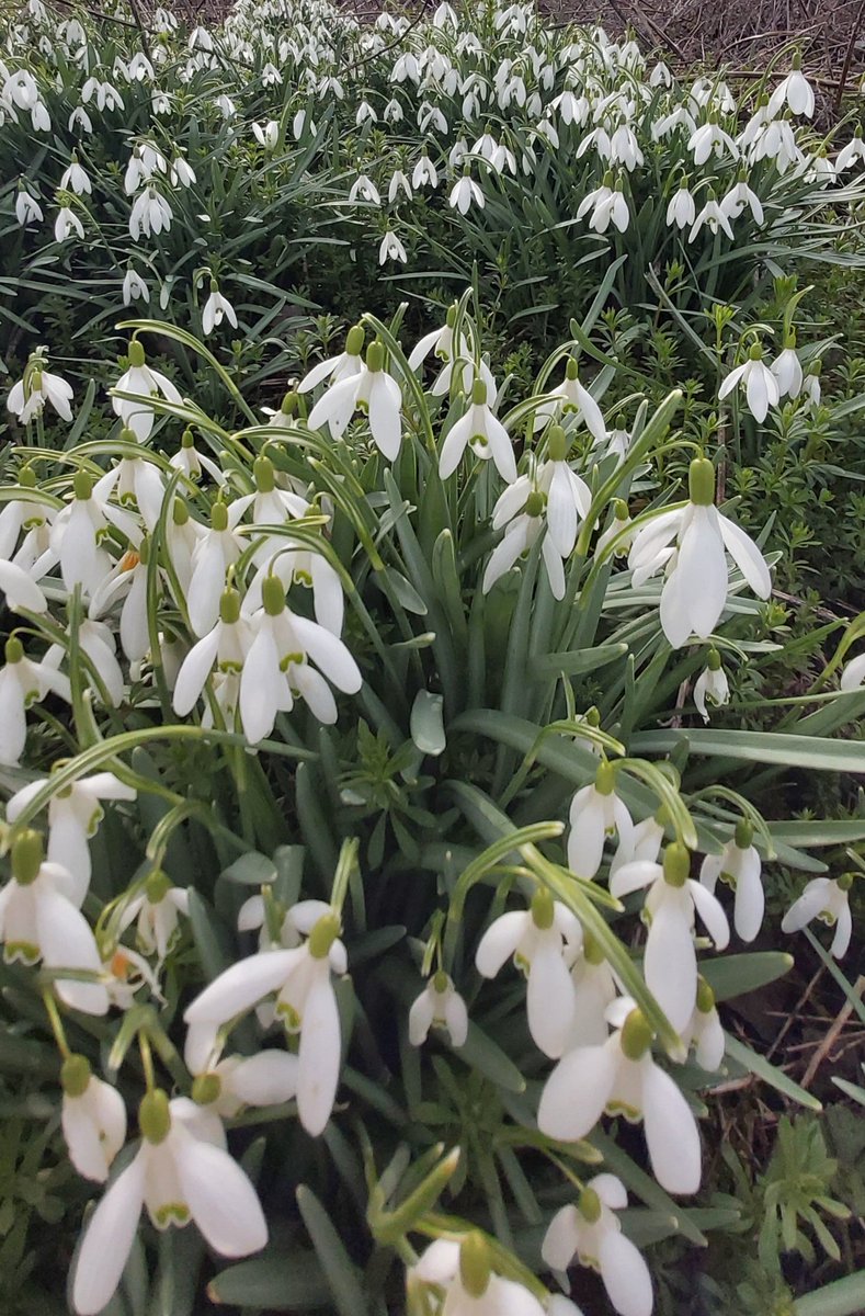 soulperl's tweet photo. Happy 1. March...great new month!❤ https://t.co/n31eMtxVYZ