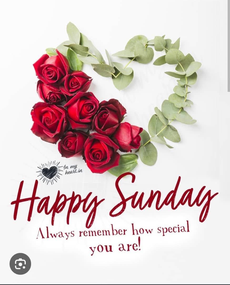Have a Sensational and Safe Sunday!
Always Be Kind and Enjoy Your Weekend With Family And Friends!!! 🙏🏽❤️🎉😇