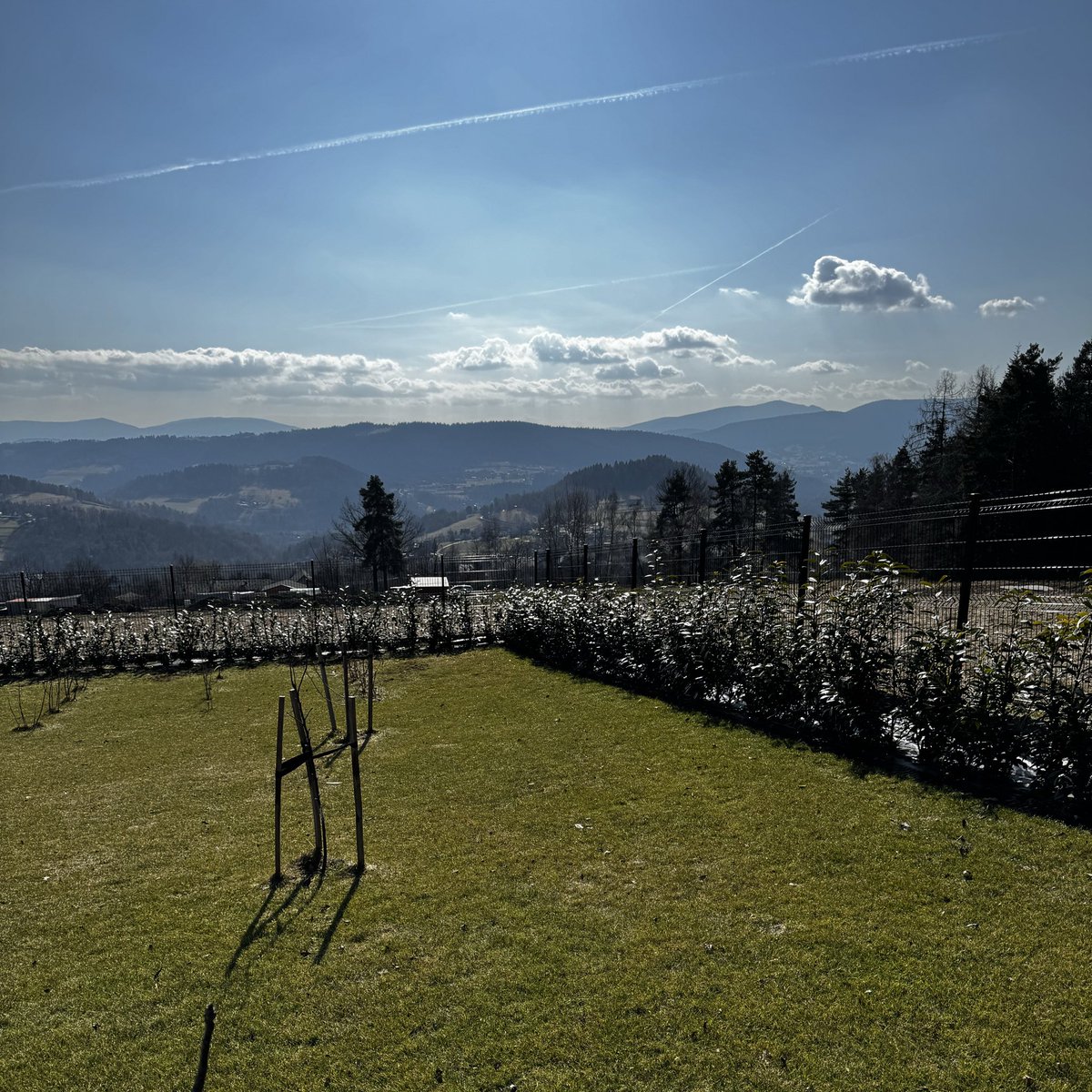 FinansowyUmysł tweet media