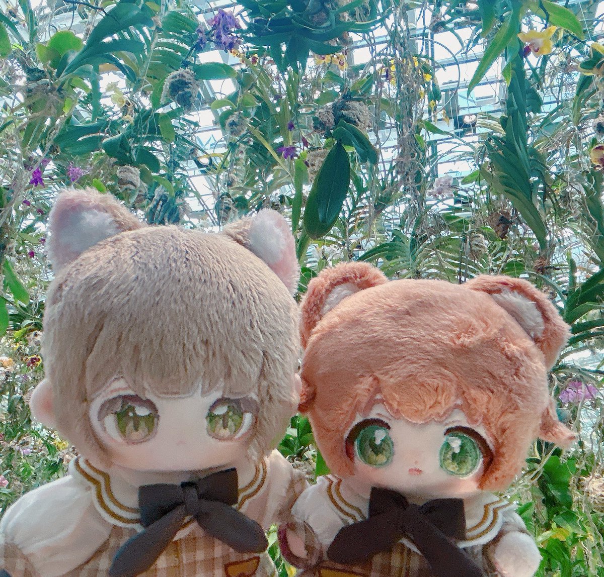 丼･ｲｸ~ﾗ(ふわふわのすがた) tweet media