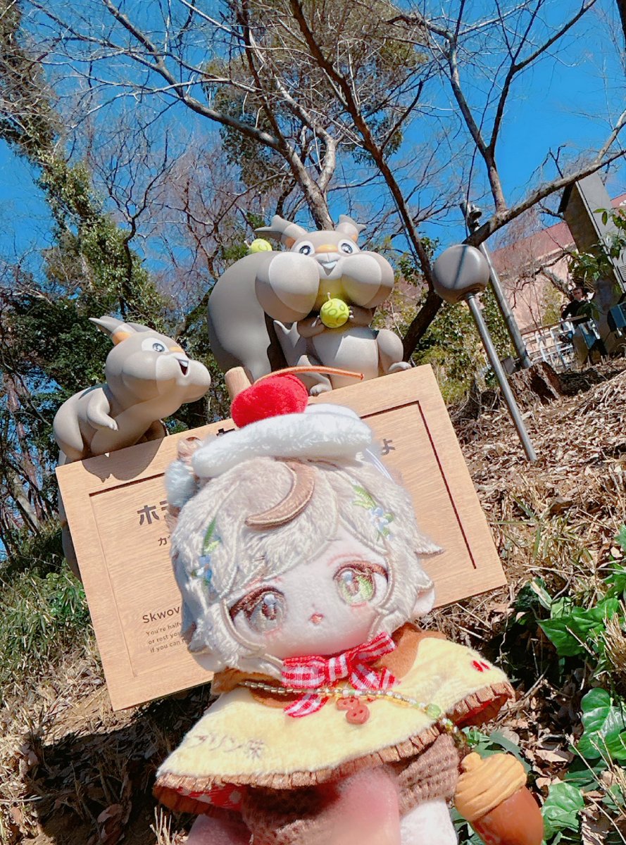 丼･ｲｸ~ﾗ(ふわふわのすがた) tweet media