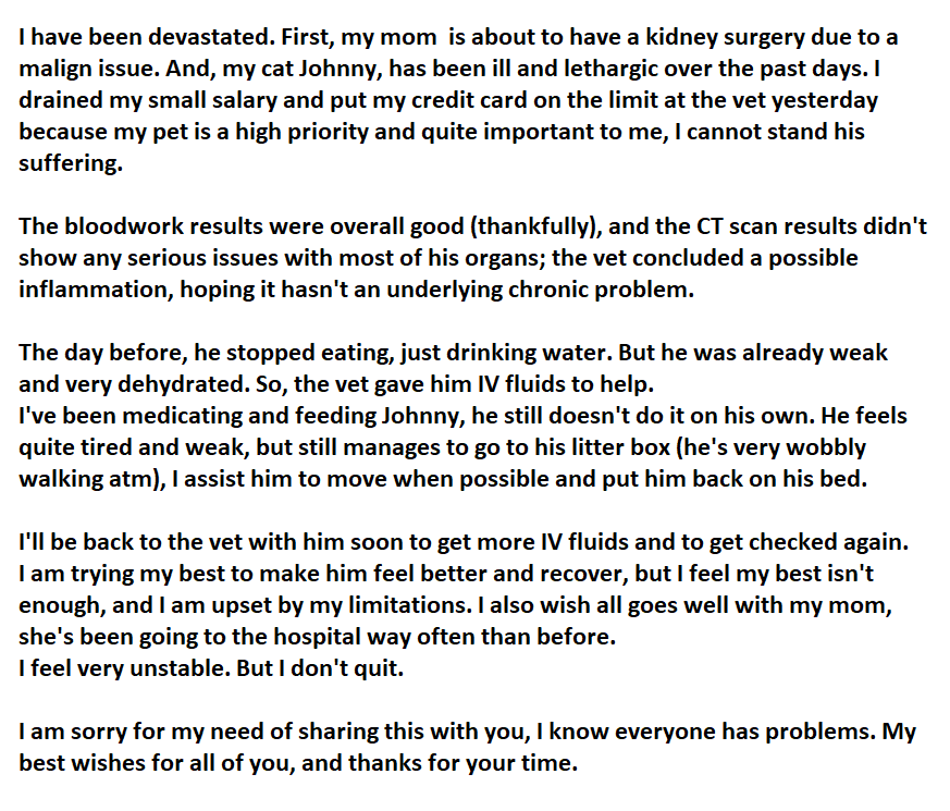 Wild Jester tweet media