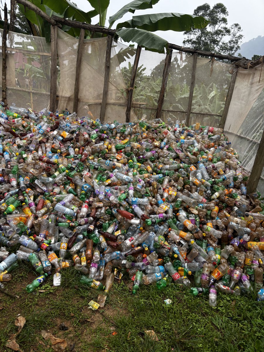 Foundercphs's tweet photo. Well done #Bududa π. If communities can come up with these local solutions. We can solve the plastic crisis! But this alone is not enough! We need to shift from a heavy reliance on plastic to other materials of packaging. Cut it from the source. Putting pressure on communities to recycle when weβre not cutting production is hypocritical.
#Climatechange #ClimateCrisis #change #environmentaljustice