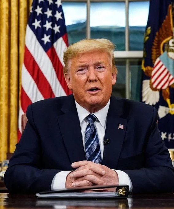 معلومات tweet media