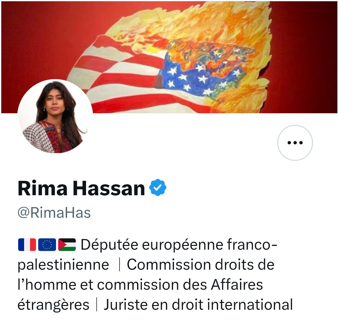 Tu as osé le drapeau américain brûlé sur ta bannière.
Le même geste, hier, par les  mollahs à l'annonce de l'élimination de Khamenei
Le même geste que les criminels de guerre, que les tortionnaires.

Rima Hassan tu es une crevure capable des pires actions!
<a href="/RimaHas/">Rima Hassan</a>