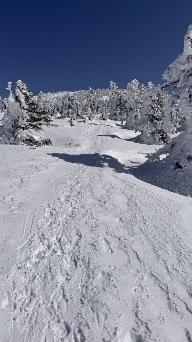 西吾妻のスノーモンスター、名残りは少し…