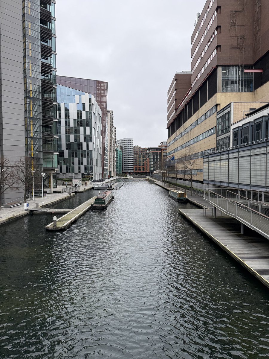 Foxes Afloat tweet media