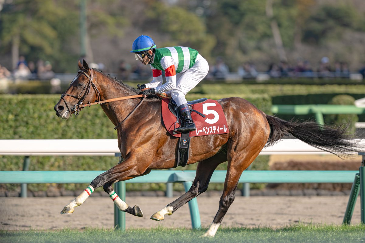 inochoooo's tweet photo. 2026.03.01 中山競馬場
11R 中山記念
レーベンスティール × 戸崎圭太 https://t.co/oacYGbivPs