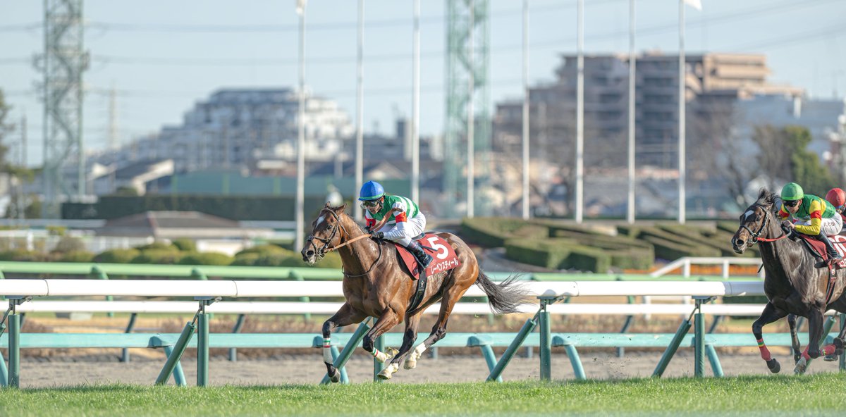 inochoooo's tweet photo. 2026.03.01 中山競馬場
11R 中山記念
レーベンスティール × 戸崎圭太 https://t.co/oacYGbivPs