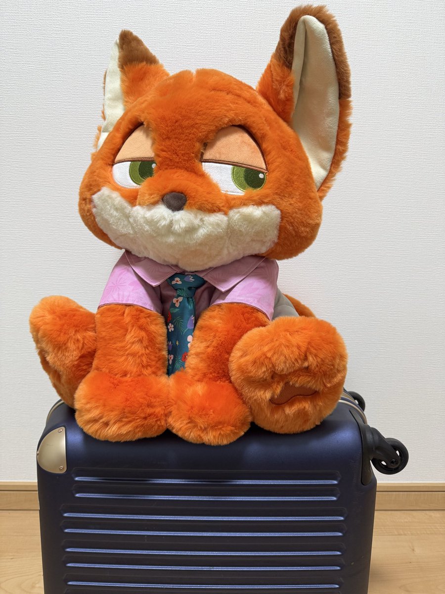 コストコのニックのぬいぐるみ ようやくお迎え〜♡ でっかい可愛い