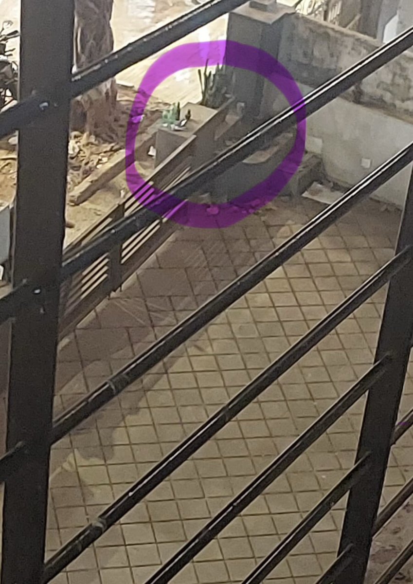 SWAT - Santacruz West Action Team tweet media