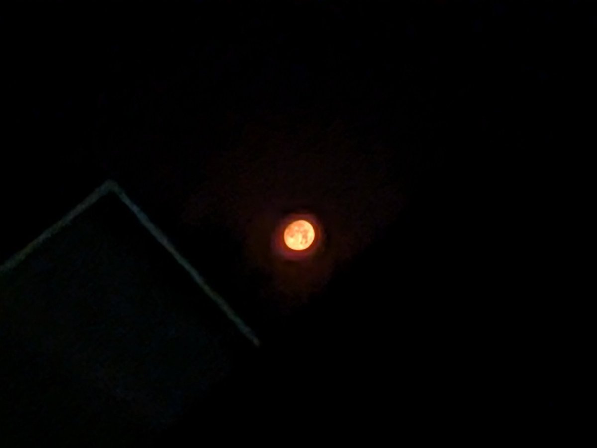 月がよく見えたので