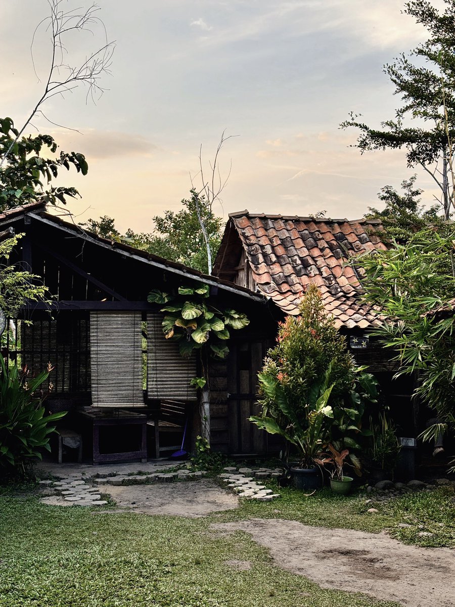 braxidin tweet media