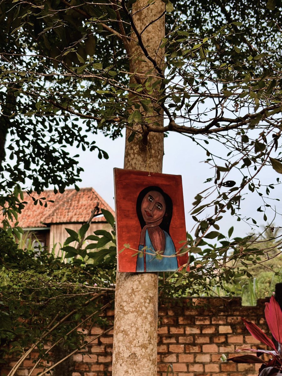 braxidin tweet media