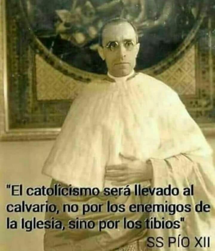 “El catolicismo será llevado al calvario, no por los enemigos de la Iglesia, sino por los tibios” 

Papa Pío XII