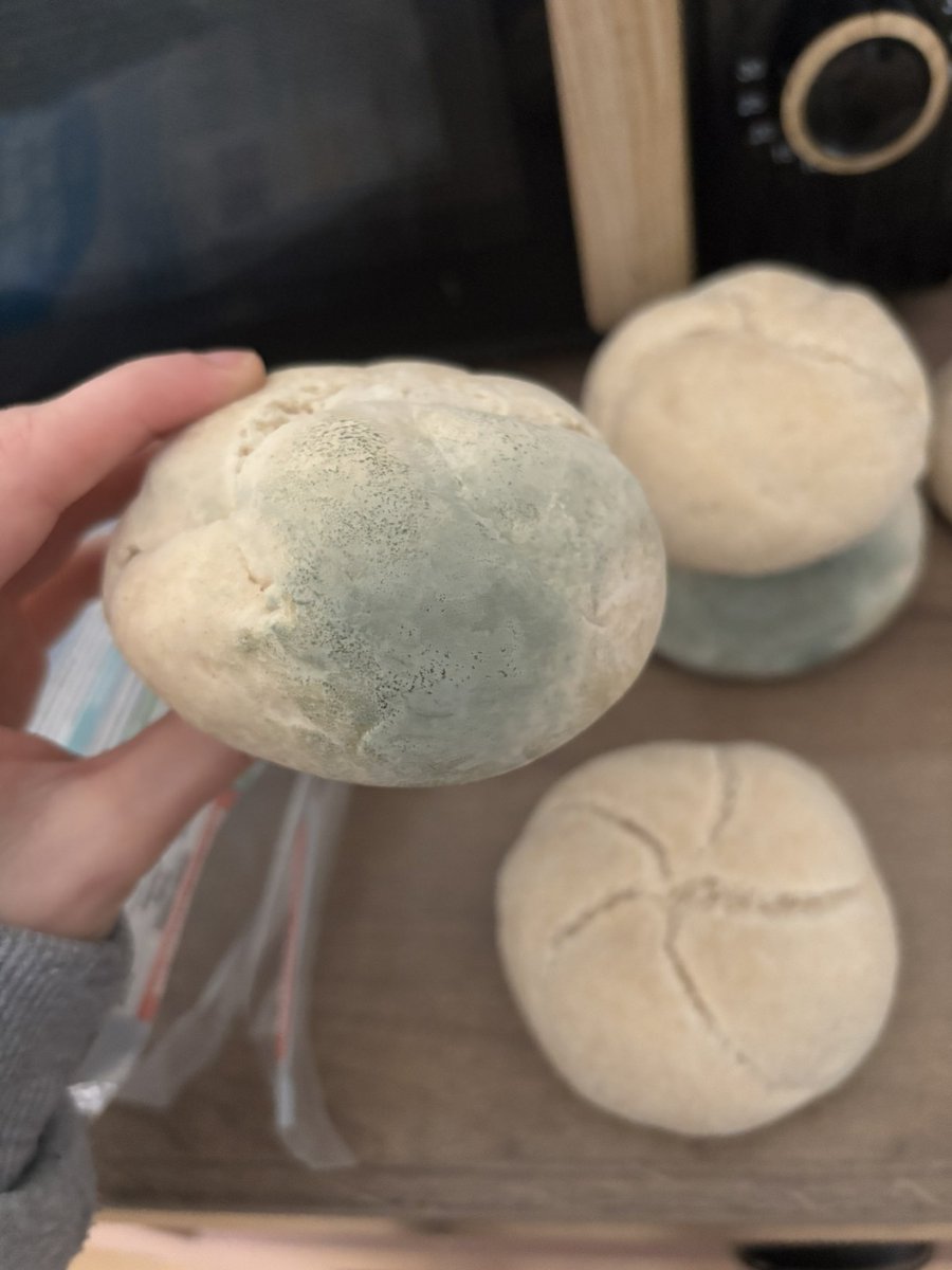 kendrickcore's tweet photo. opened these from @IcelandFoods today and every single one was mouldy?? like the expiration date is 20/04/26 im actually in disbelief https://t.co/bRS9LJACJw