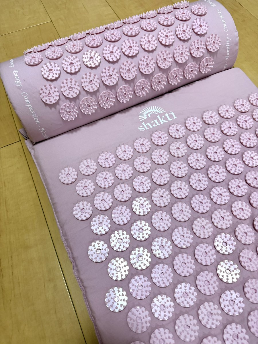 話題のシャクティマット。剣山に上裸で寝るとか何の修行？って思った