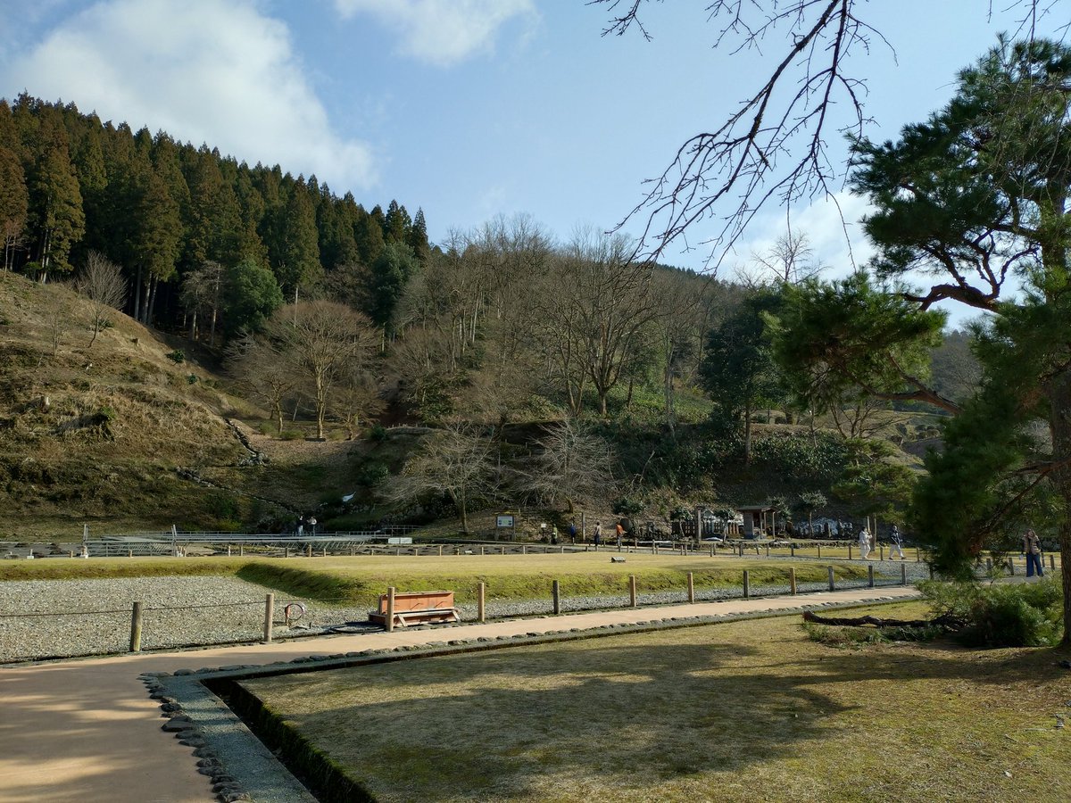 #一乗谷朝倉氏遺跡
今日から弥生三月。春到来。復原街並南口の残雪と山茶花が綺麗でした。花粉症と格闘中…