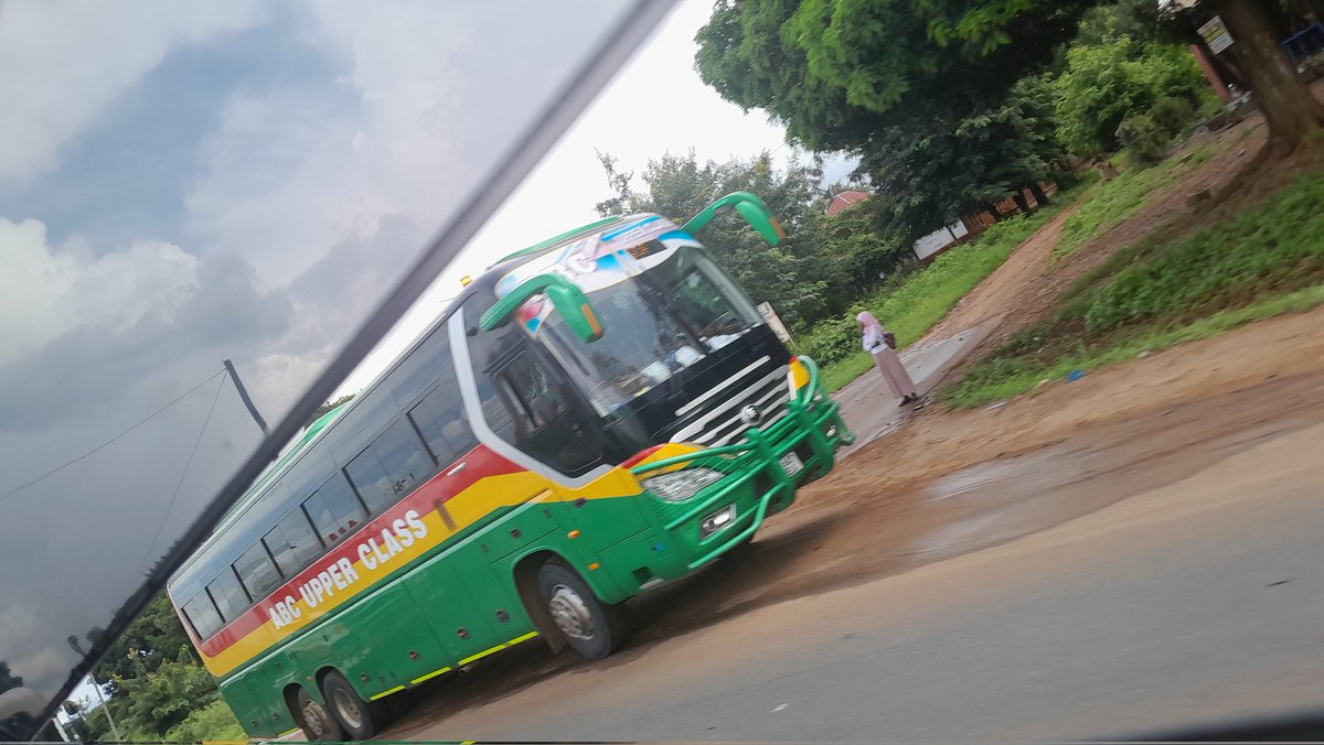 mysafari Tanzania tweet media