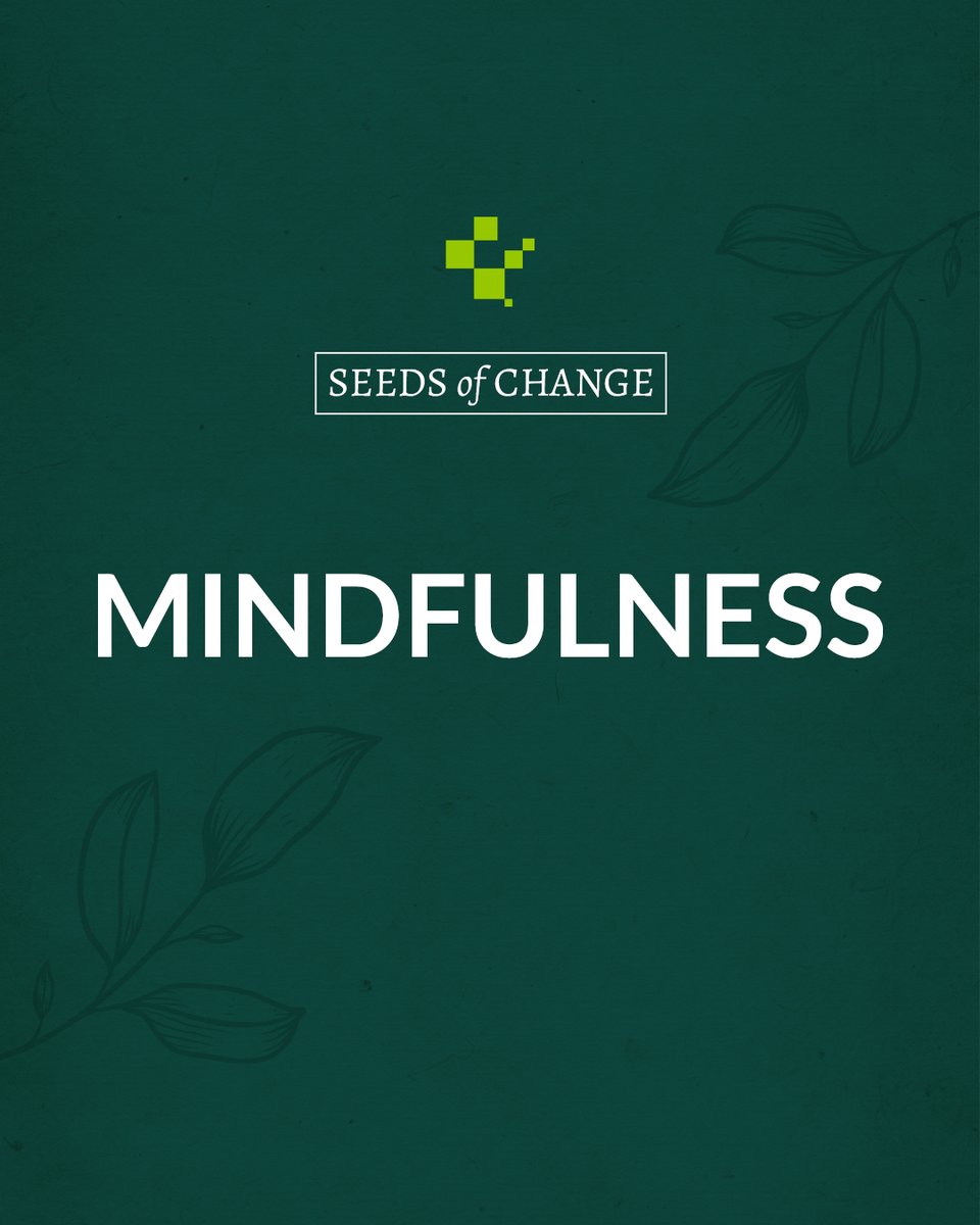 Mindfulness roots you in the present – live in the moment, grow in every second.  

#SeedsOfChange #MindfulMoments #PresentPower #RootedInNow