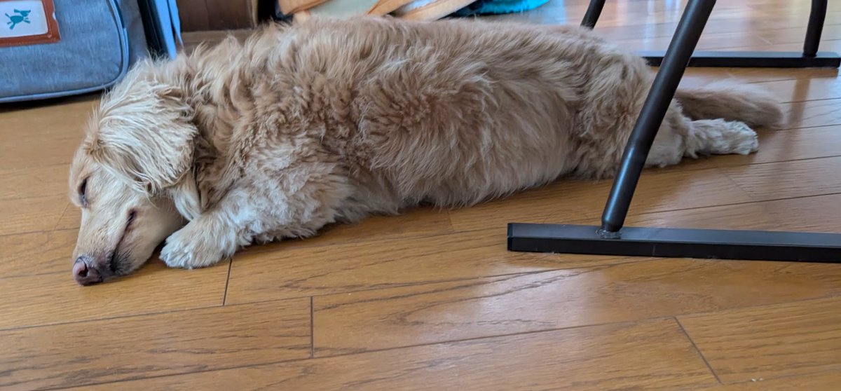 らきぐり tweet media