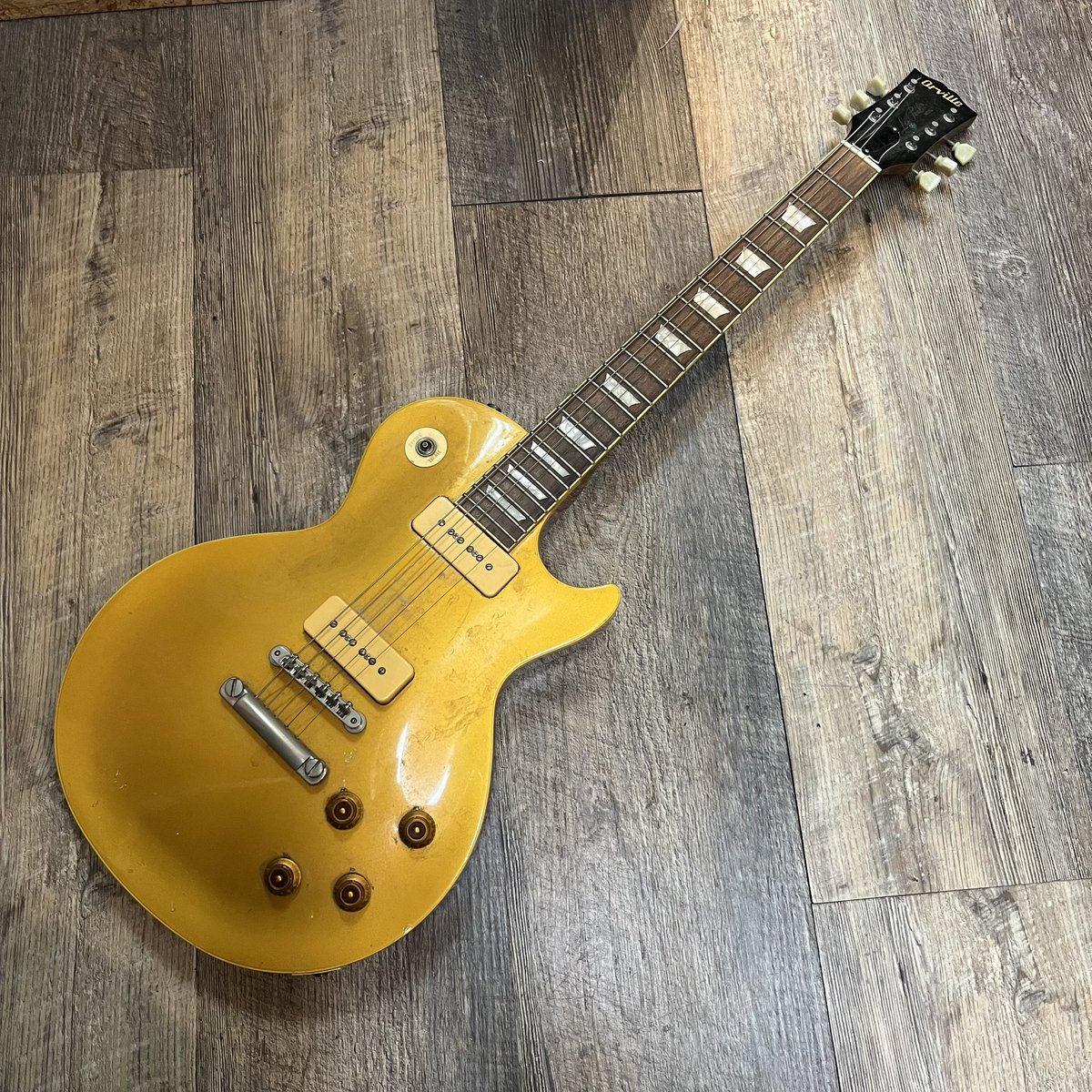 新入荷② Orville LPS-56GT 年々人気が高まっているオービルのレス