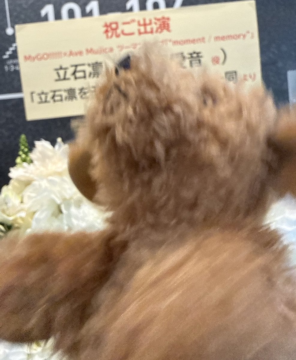 立石凛を「モニタ凛グ」 tweet media