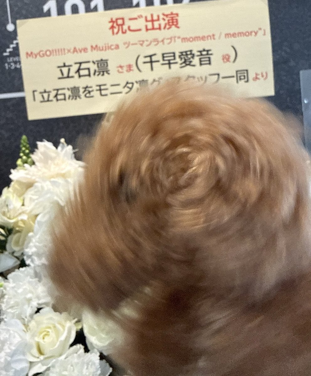 立石凛を「モニタ凛グ」 tweet media