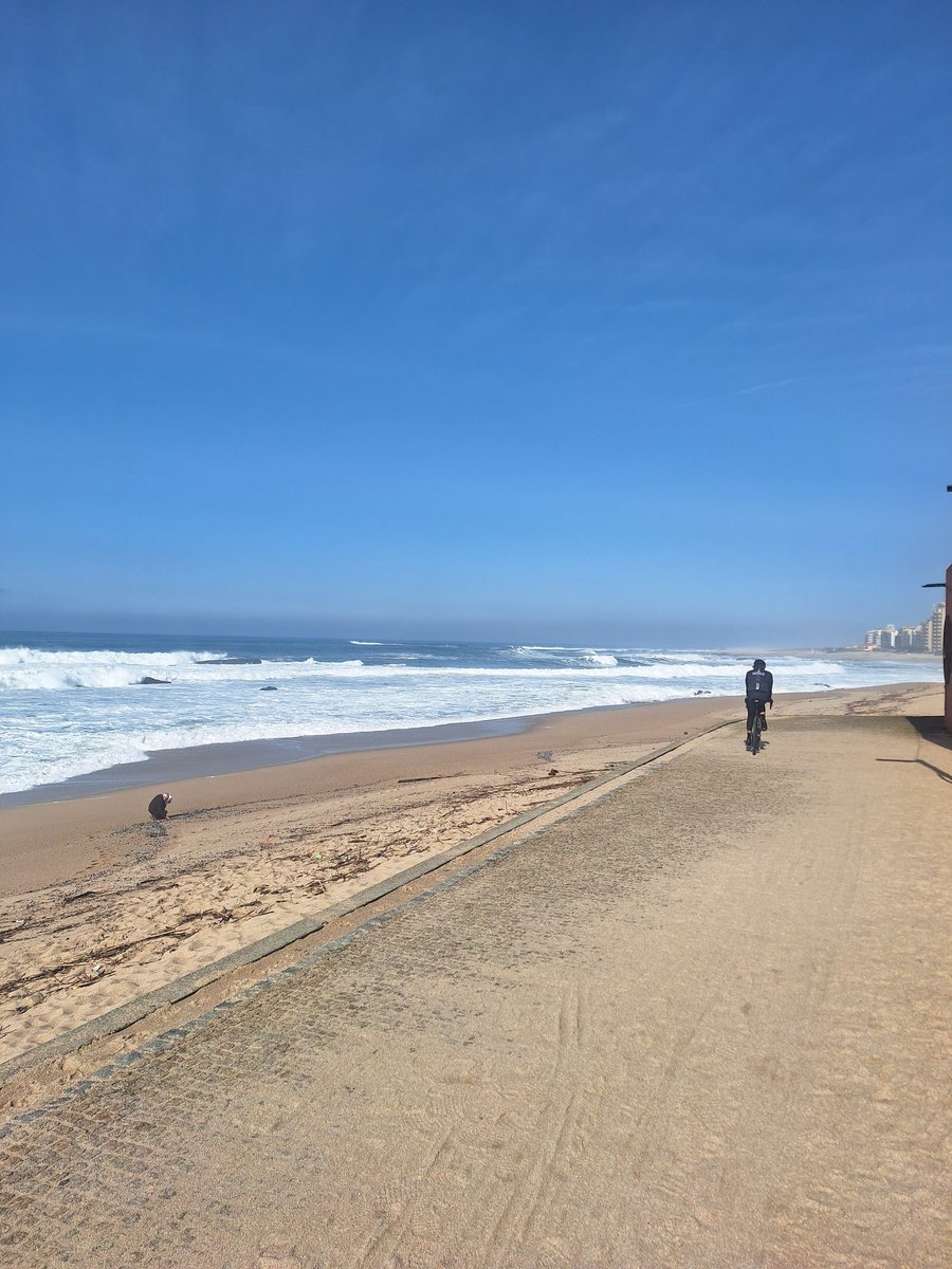 Anthony Thompson🐜🎺 tweet media