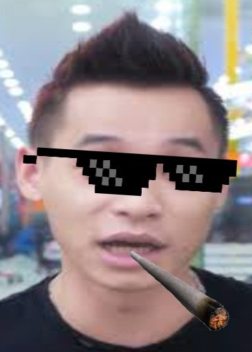 độ tày cao bằng con chó tweet media