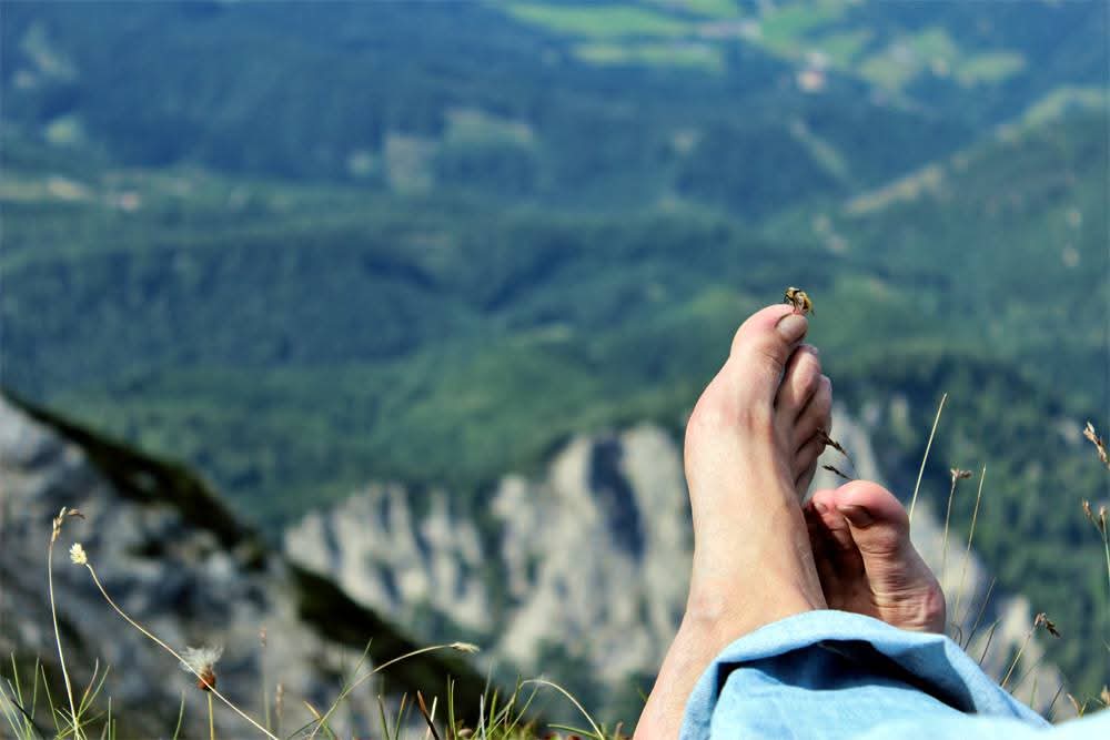 Ich habe gerade wieder eine Woche Alm im Sommer gebucht ❤️

Aufwachen mit dem Geräusch des rauschenden Bächleins und der Kuhglocken. Kein Empfang, kein Internet, keine Menschen. 

Bis dahin muss ich mich halt mit dem Geräusch des Geschirrspülers über Wasser halten 🙈