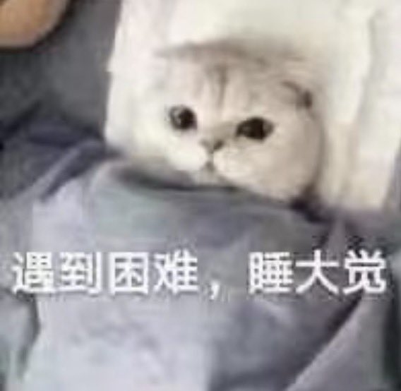 Linze112's tweet photo. 日本能不能开个圈内私塾啊家人们，学生不好好听课就按着打一顿那种。这帮学生真是教的我一个脑袋两个大🙃。有实力的大佬们请多多考虑。 https://t.co/j2GDyGmYQg